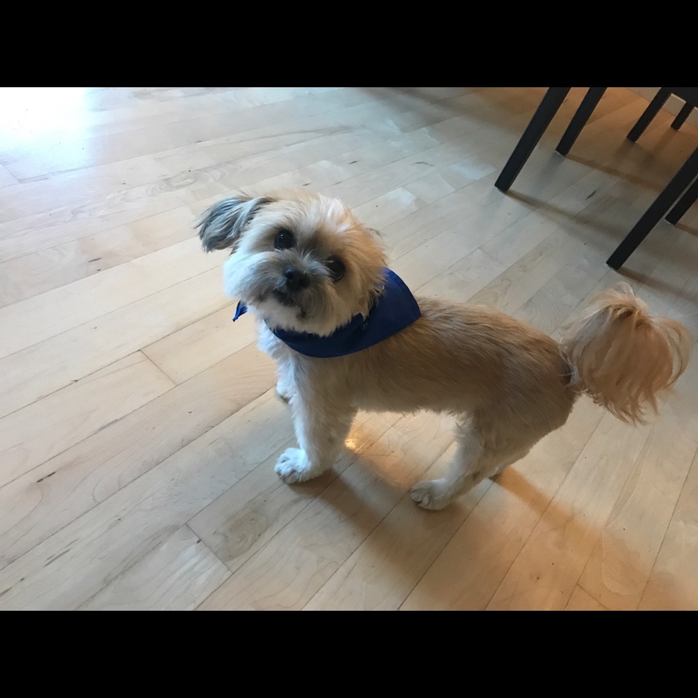 Meet your Posher, Laura